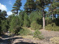 rrente Quarantore-20110911 076